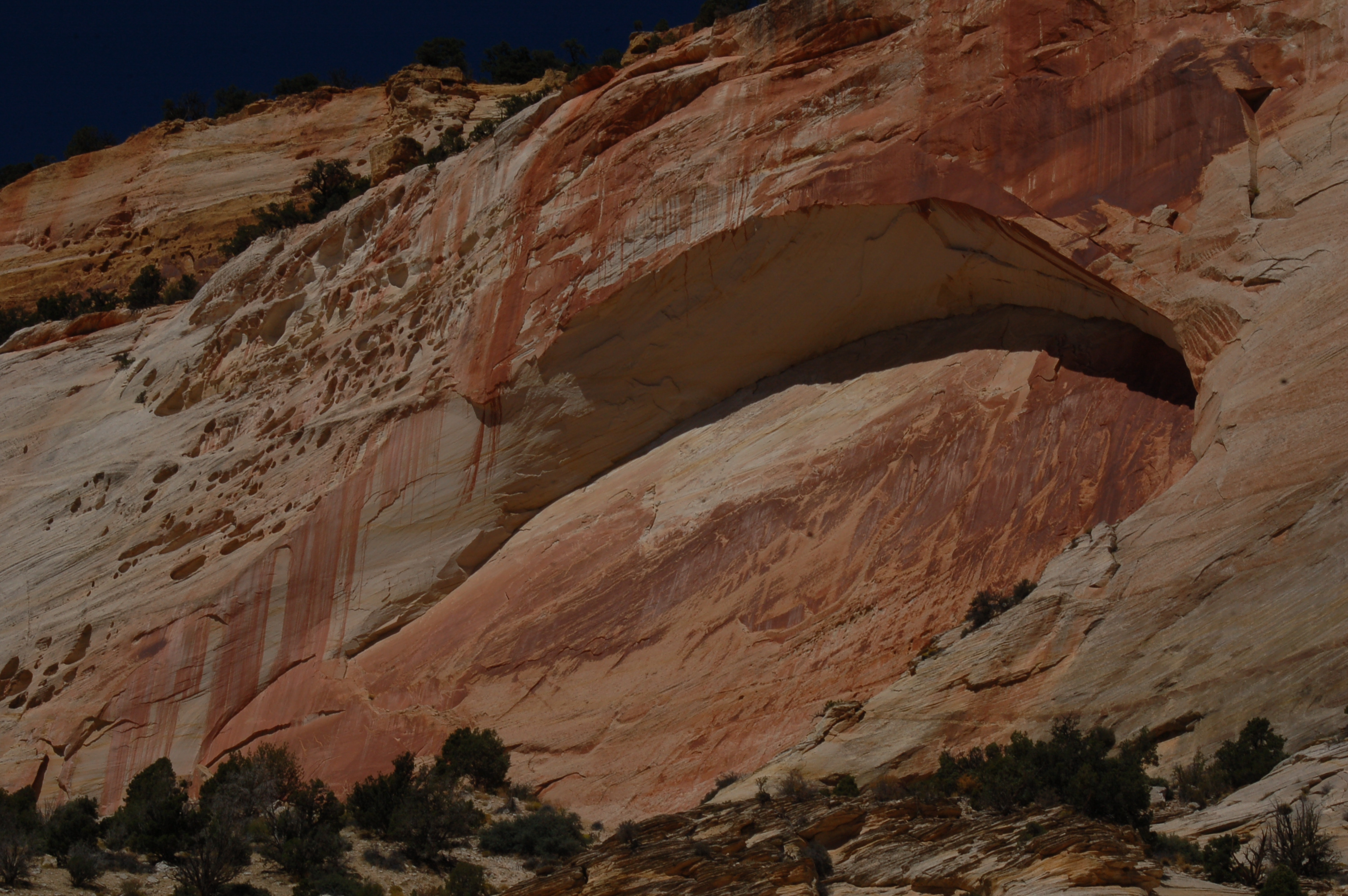 Zion NP